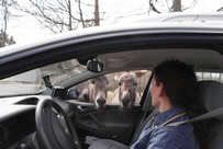 von der anderen Seite